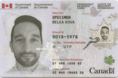 Buy Canadian ID Card